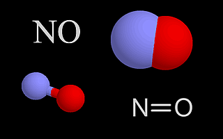 nitric oxide